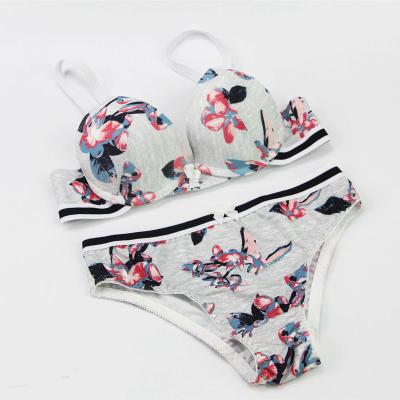 China 2020 New QUICK DRY daily panties and bra sets lift up BCDE floral bow cup underwear for women plus size lingerie for sale