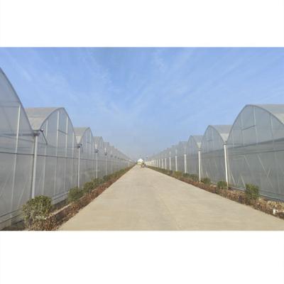 China Agriculture Commercial Good Prices Hydroponic Greenhouse Planting Victorian Frame for sale