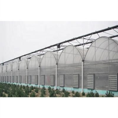 China Agriculture Good Price Hydroponics Polycarbonate Polycarbonate Hydroponic Planting Commercial Greenhouse for sale