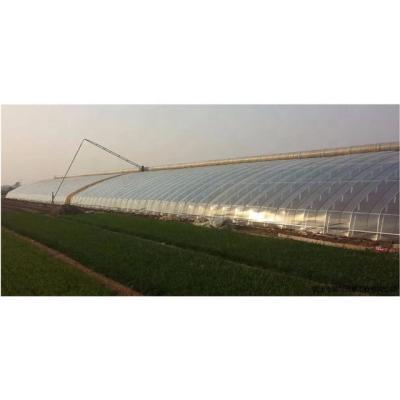 China Stable Structure Easily Assembled Simple Structure Commercial Easy Installation Agricultural Solar Greenhouses for sale