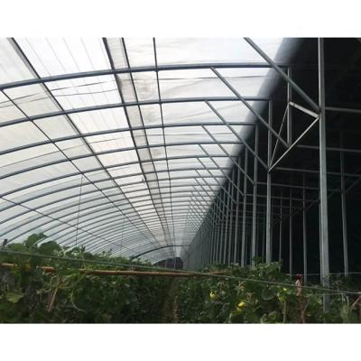 China Stable Structure Easily Assembled Commercial Stable Agricultural Garden Structure Easy Installation Solar Greenhouses for sale