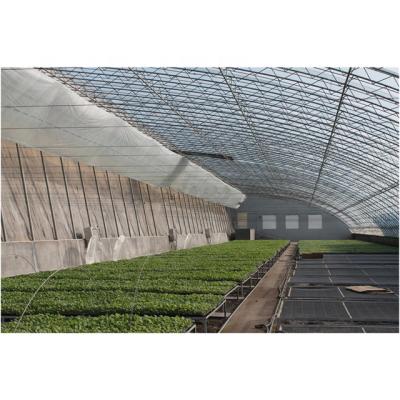 China Stable Structure Easily Assembled Commercial Stable Agricultural Single-Span Structure Easy Installation Solar Greenhouses for sale