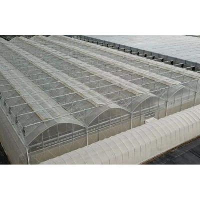 China Agriculture Commercial Good Prices Multi Leaf Film Hydroponic Planting Glass Plastic Greenhouse for sale