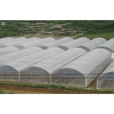 China Agriculture Commercial Good Prices Mini Hydroponic Planting Tunnel Greenhouse For Sale for sale