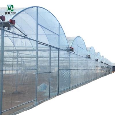 China DINGKE agriculture blackout hydroponic planting multispan greenhouses for sale