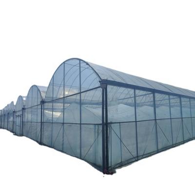 China DINGKE Agriculture Steel Frame Vegetable Hydroponic Planting Greenhouse for sale