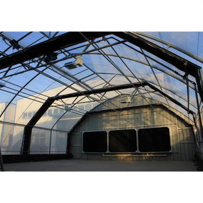 China Good Quality Vegetable Fruit Flowers Chinese Glass Greenhouse With Insect Proof Net for sale