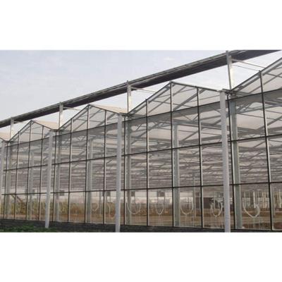 China Hydroponic Agriculture Planting More Than 20 Years Manufacturing Single Span Greenhouses For Agricultural Farm For Sale for sale