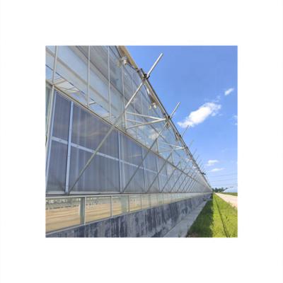 China Hydroponic Agriculture Planting Over 20 Years Manufacturing Polycarbonate Sheet For Agricultural Greenhouses For Sale for sale