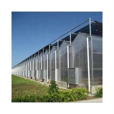 China Hydroponic Agriculture Planting More Than 20 Years Manufacturing Polythene Agricultural Greenhouses For Sale for sale