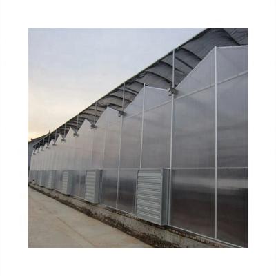 China Hydroponic Agriculture Planting More Than 20 Years Manufacturing Agricultural Greenhouses Rolling Bench For Sale for sale