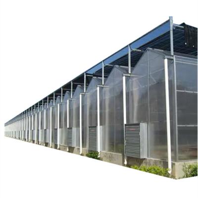 China Agriculture Multispan Hydroponic Planting Sawtooth Led To Grow Light Greenhouse for sale