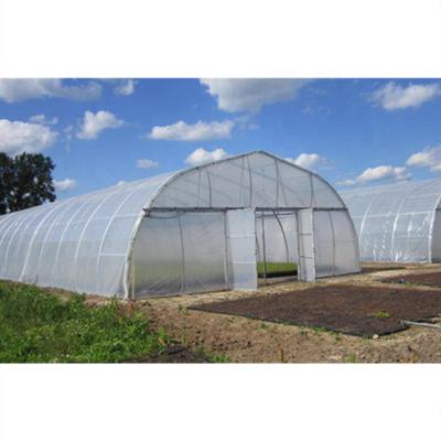 China Plant Span Poland Fruits Flowers Flowers Strong Structure Single Span Tunnel Film Greenhouse System for sale