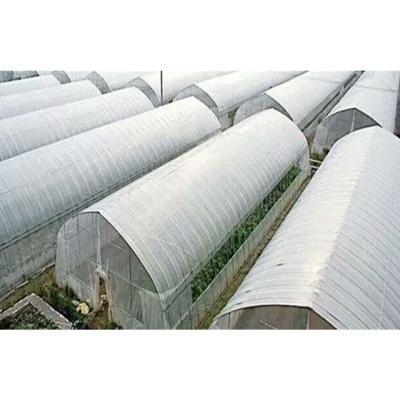 China Vegetable Strong Structure Fruit Flowers Lean Automatic Solar Greenhouse Too for sale