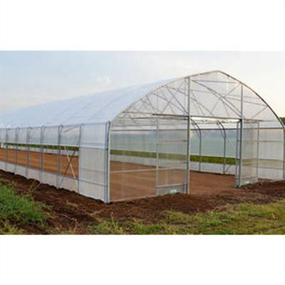 China Poly Fruit Vegetable Strong Structure Flowers Greenhouses From China for sale