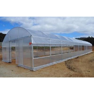 China Vegetable Fruits Flowers DINGKE Agricultural Tunnel Greenhouses With Best Price for sale