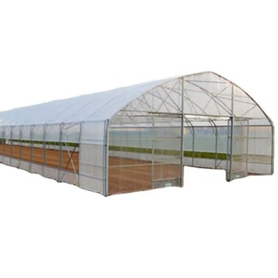 China Vegetable Garden Fruits Flowers Single Span Agricultural Plastic Film Greenhouses for sale