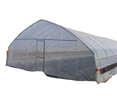 China Greenhoused Flowers Vegetable Hot Sale Singlespan Hydroponic Fruit Growing Systems for sale