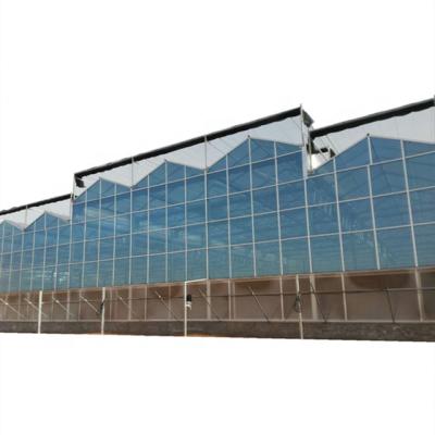 China DINGKE agriculture brand hydroponic planting venlo glass greenhouse for sale for sale