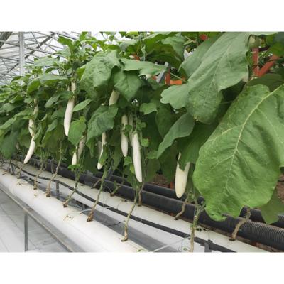 China Smart Hydroponic Agriculture Deprivation Hydroponic Planting Lightweight Greenhouse For Sale for sale