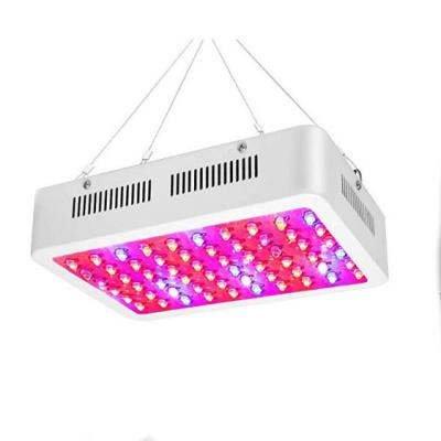 China Full VEG Chip Agriculture Kit Indoor Plant Growth Dual Led Grow Lights COB Greenhouse 600w Led Grow Light Full Spectrum Led for sale