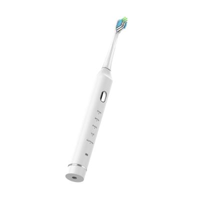 China Battery Operated Rechargeable Whitening Electronic Soft Toothbrush Maker for sale