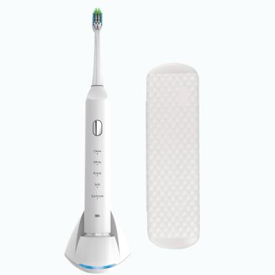 China Battery Operated Teeth Whitening Rechargeable Dental Toothbrush Ultrasonic Soft for sale