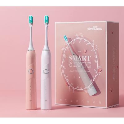 China Battery Operated Portable Teeth Whitening Electric Private Label Dental Toothbrush for sale