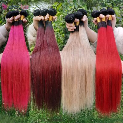 China Cuticle Aligned Brazilian Hair Extension Ombre Curly Bundles Hair Weave Bundles Virgin Hair Extensions 10a Ombre Curly Curly Hair Bundles for sale