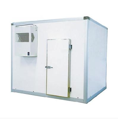 China Cold storage room mini freezer room hot sale factory price monoblock refrigeration unit cold storage room for sale