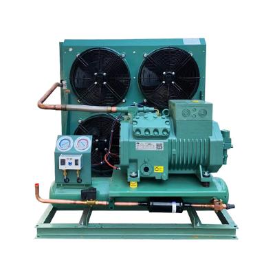 China Freezer Room Cold Storage Room Wholesale Condensing Units Compressor 2-15 Hp Freezer Air Cooled Centrifugal Refrigeration for sale