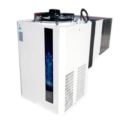 China Cold Storage Room Mini Freezer Room Cheap Price Cold Room Air Cooled Freezer Refrigeration Monoblock Condensing Unit for sale