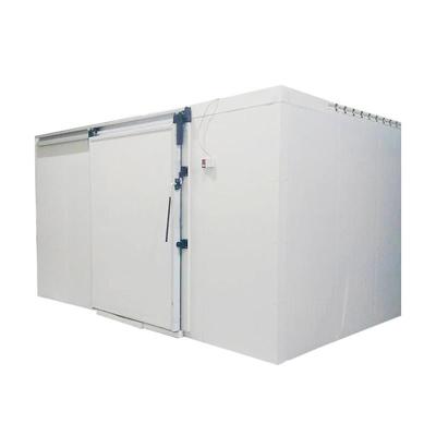 China Resturant refrigerator with large storage space can be used for fruit storage using polyurethane sandwich panels for sale