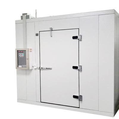 China 2021 Hot Sale Resturant Cold Room Wall in Freezer with High Quality and Best Price Online Sale for sale