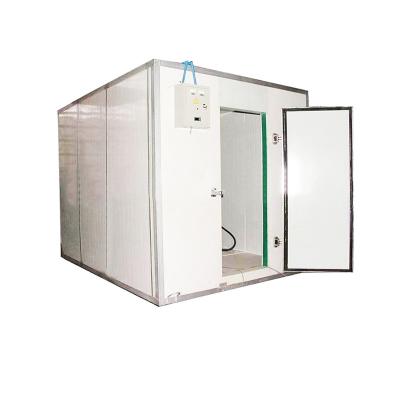 China Cheap Resturant Price Cold Room Blast Freezer Room For Meat Walk In Blast Freezer for sale