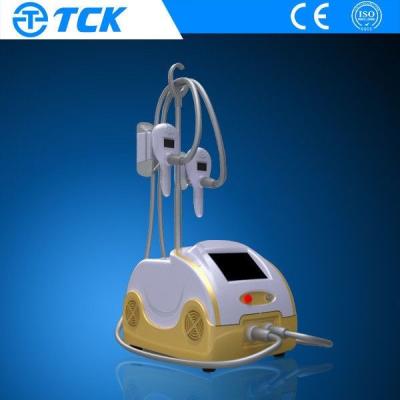 China Portable Cryolipolysis Slimming Machine Vacuum Skin Rejuvenation Machine with 2 handles for sale