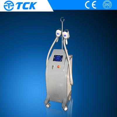 China Medical Mini Fat Freezing Cryolipolysis Slimming Machine Skin rejuvenation for sale