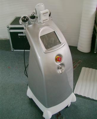 China Cryolipolysis Vacuum Freezing Fat Cell Slimming Arm Weight Loss Machine for sale