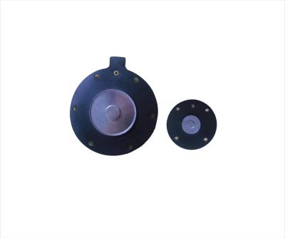 Cina NBR EPDM PTFE FKM Pulse Valve Actuated Diaphragm Seal per varie applicazioni in vendita