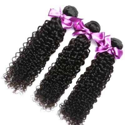 China Virgin Brazilian Kinky Curly 10A Raw Cuticle Aligned Unprocessed Mink Brazilian Human Hair Bundles 100% Human Hair Bundles for sale