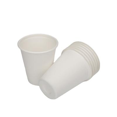 China Biodegradable Biodegradable Disposable Bamboo Sugarcane Bagasse Pulp Eco-Friendly Hot Compostable Cup With Lid for sale