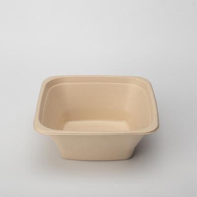 China Sugarcane Biodegradable Biodegradable Bagasse Molding Pulp Disposable Food Packaging Containers Rolls for sale