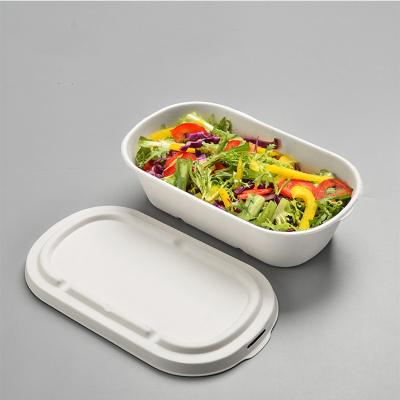 China 100% Biodegradable Biodegradable Disposable Paper Bagasse Mold Pulp Bagasse Vegetable Trays Vegetable Trays for sale