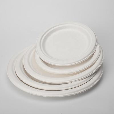 China Biodegradable Biodegradable Disposable Food Container Cake Pulp Molding Round Bagasse Dishes for sale