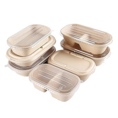 China Biodegradable Fast Food Compostable Biodegradable Fruit Mold Disposable Bagasse Sugar Cane Packaging Tray for sale