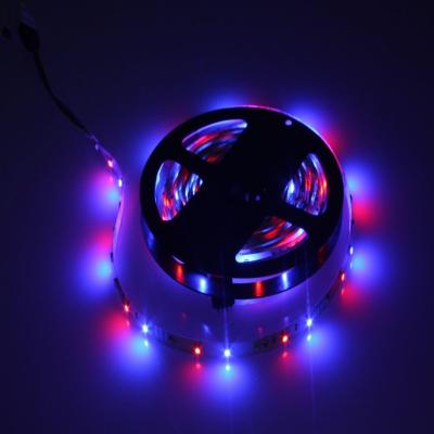 China IP65 LED Strip Lights Kits Colour Changing 5M CE UL GS Approved for sale