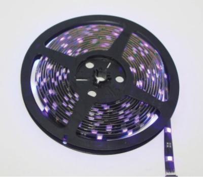 China SMD5050 60LED UV Purple Led Strip Light Set For Sterilization / Clean Air for sale