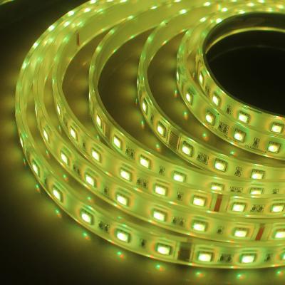 Chine La couleur multi les lumières a mené de bande de lumière de basse tension corde IP67/SMD5050 menées par RVB à vendre