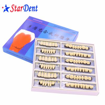 China Resin Dental Resin Teeth 6 Full Mouth Two-Layer Color Bayer Series Teeth Shade Guide for sale