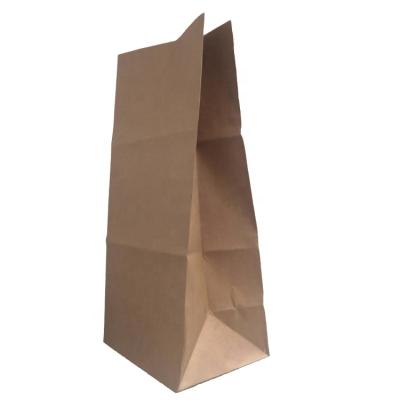 China Recyclable Wholesale Compostable Lawn Leaf Field Garbage Bag Brown Kraft Paper Bag Customized for sale